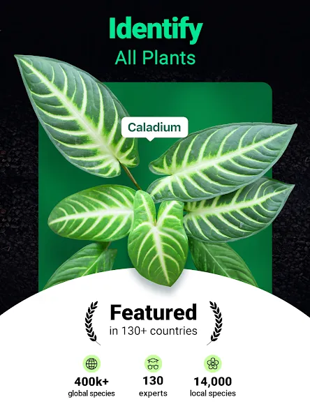 Plantum - Plant Identifier screenshot 9