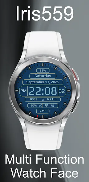 Iris559 Multi-Function Digital screenshot 2