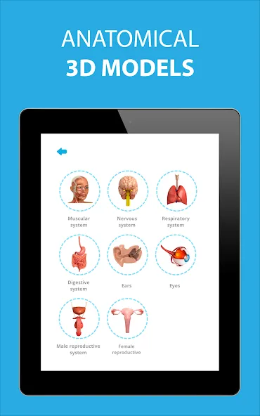 Medical Terminology Learning Q screenshot 15