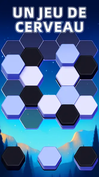 Hexa Master 3D - Color Sort screenshot 22