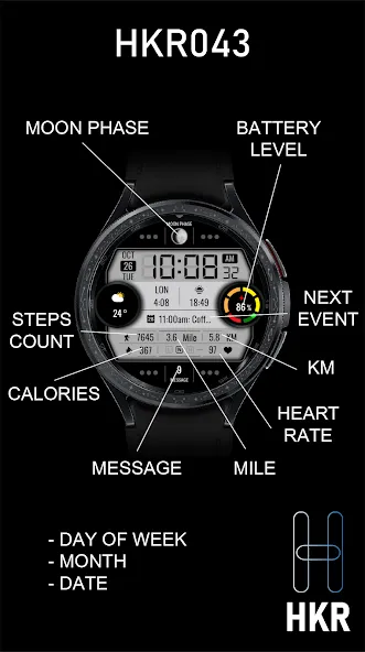 HKR043 screenshot 2