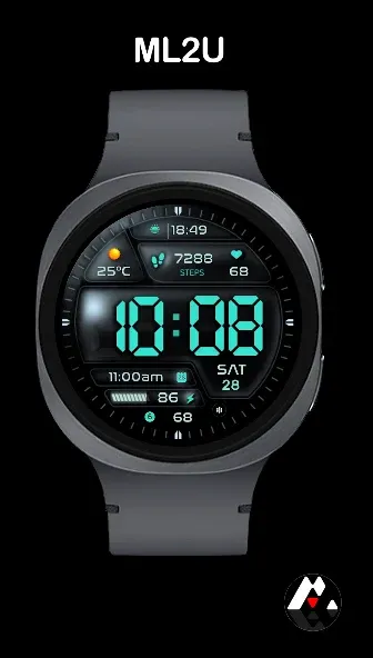 ML2U 229b Tactical Digital screenshot 5