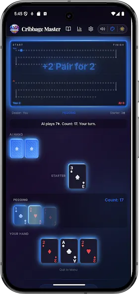 Offline Cribbage Master Ai screenshot 16
