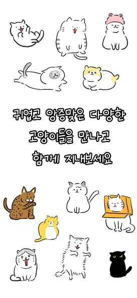 이상한 고양이 screenshot 2