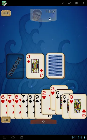 Gin Rummy Pro screenshot 13