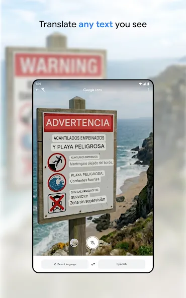 Google Translate screenshot 8