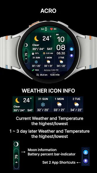 ACRO Digital Weather info2 WF screenshot 2