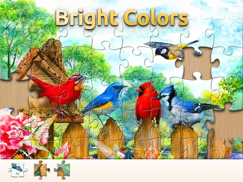 Vita Jigsaw for Seniors screenshot 10