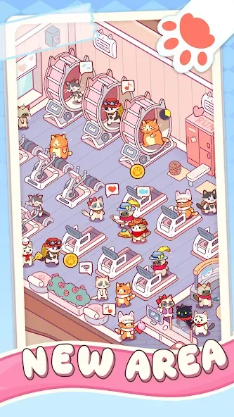 키티 짐 - 아이들 캣 게임 screenshot 6