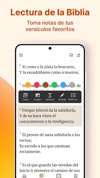 Santa Biblia Reina Valera screenshot 4