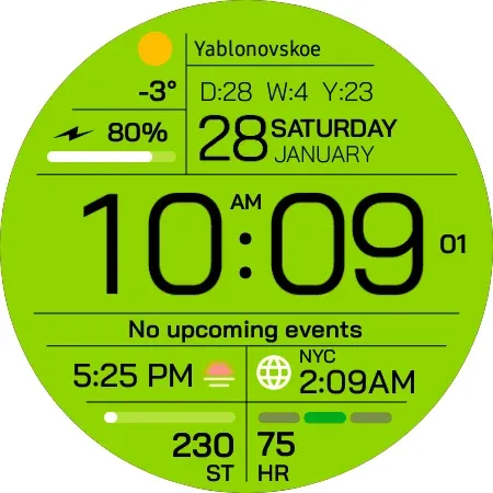 Chester Inform watch face screenshot 25