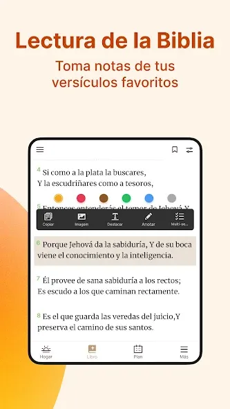Santa Biblia Reina Valera screenshot 9