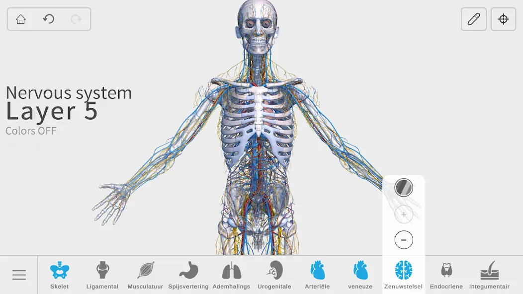 Visual Anatomy 3D - Human body screenshot 31