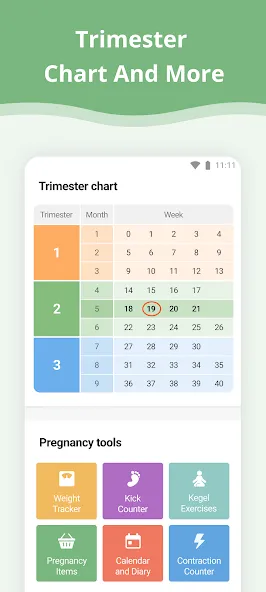 Pregnancy App screenshot 7