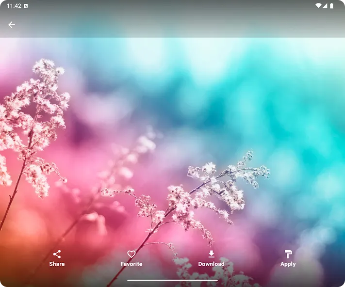 HDQWALLS 4k Wallpapers screenshot 11