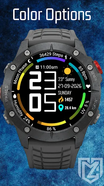Watch Dashboard screenshot 3