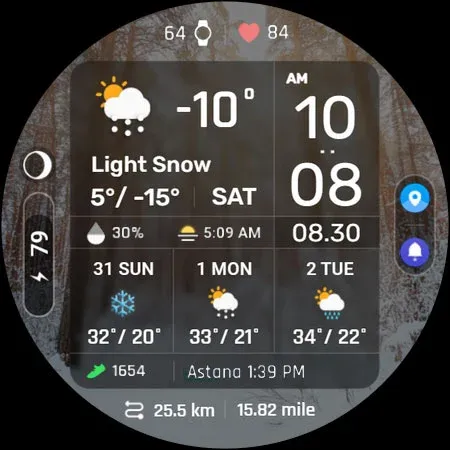 ACRO Digital Weather info2 WF screenshot 29