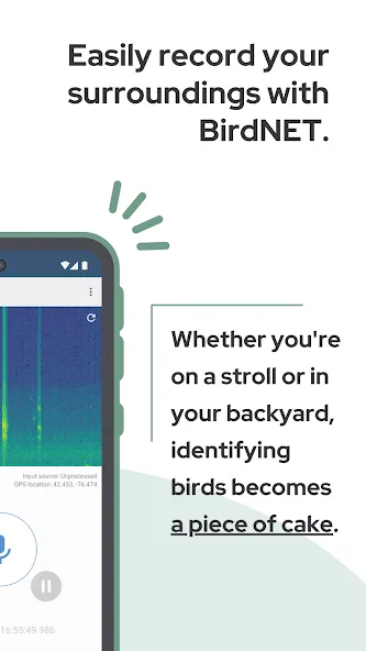 BirdNET screenshot 3