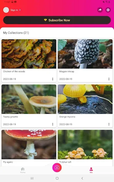 Picture Mushroom - Mushroom ID screenshot 10