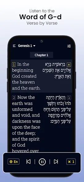 Hebrew Bible Study Translation screenshot 5