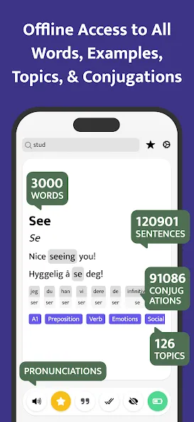 Most Common Norwegian Words screenshot 2
