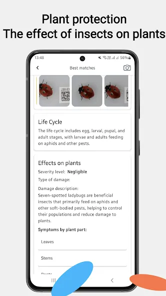 Insektenidentifikator screenshot 4