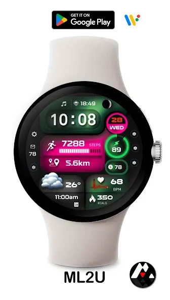 ML2U 255 Watch Face screenshot 3