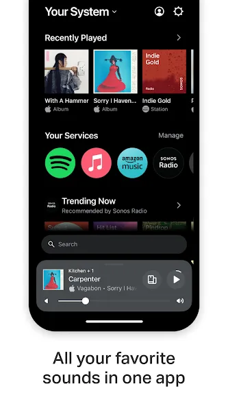 Sonos screenshot 2