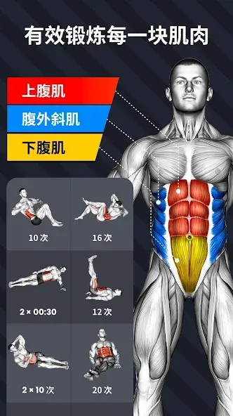 30天内练出六块腹肌 - 腹肌锻炼 screenshot 3
