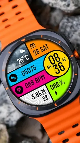 POLO Watch Face screenshot 5