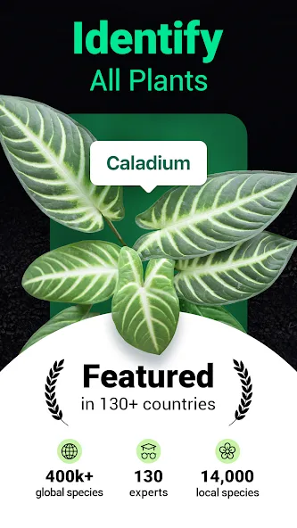 Plantum - Plant Identifier screenshot 1