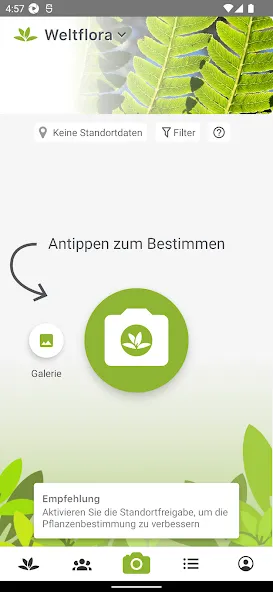 Pl@ntNet Pflanzenbestimmung screenshot 1