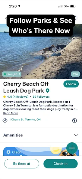 DogPack: Dog Friendly Spots screenshot 7