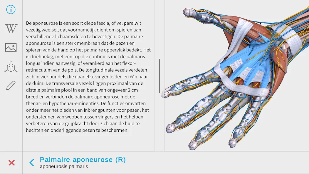 Visual Anatomy 3D - Human body screenshot 26