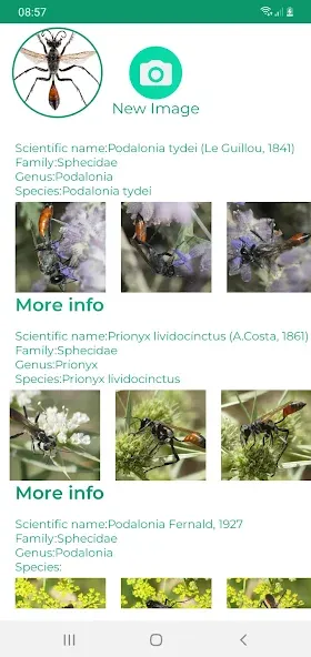 Insektenidentifikator screenshot 9