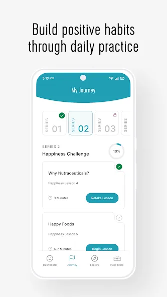 HapiBrain screenshot 2