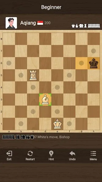 체스 ( Chess ) : 클래식 전략 보드 퍼즐 게임 screenshot 14