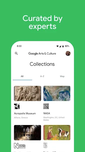 Google 艺术与文化 screenshot 7
