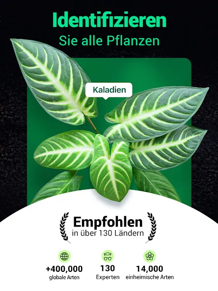 Plantum - Pflanzen bestimmen screenshot 9