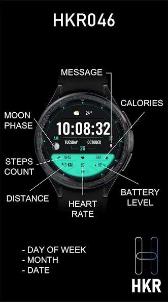 HKR046 screenshot 2