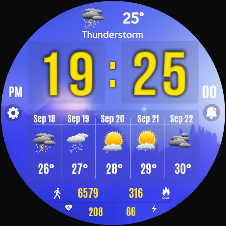 Forecast Weather Digital screenshot 35