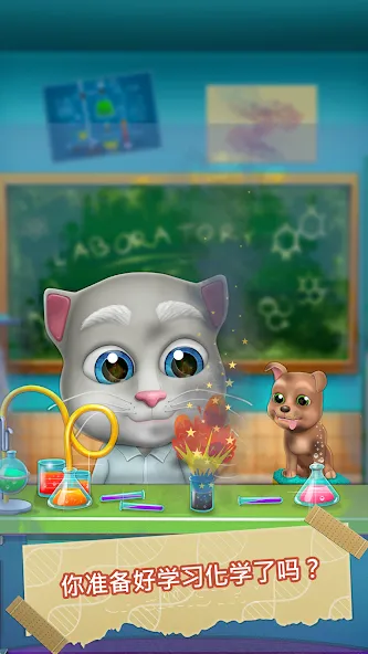 虚拟宠物鲍勃 - 搞笑猫咪 screenshot 2