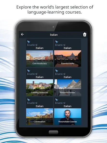 Learn 163 Languages | Bluebird screenshot 17