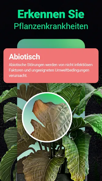 Plantum - Pflanzen bestimmen screenshot 2