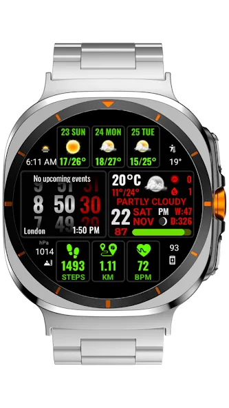 Weather hours and days NTV600 screenshot 23