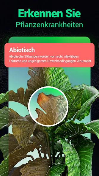 Plantum - Pflanzen bestimmen screenshot 26