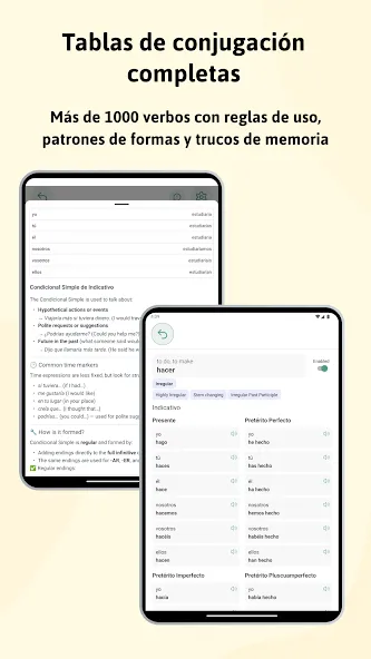 Español verbos y conjugaciones screenshot 12