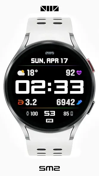 SMZ DS003 screenshot 2