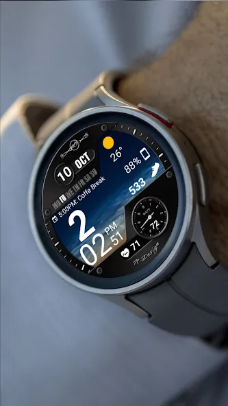 WearOS Hybird WatchFace NTV567 screenshot 19