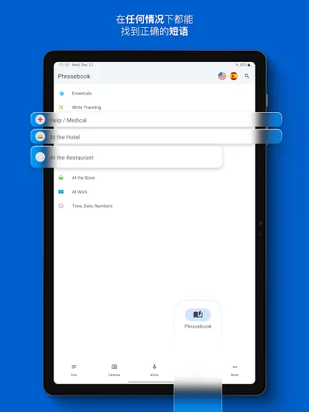 iTranslate 翻译 screenshot 13